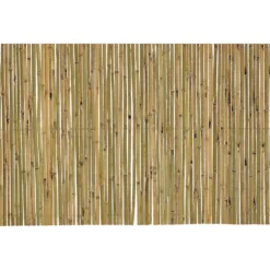 Arella Sea in Bamboo h250x300 cm