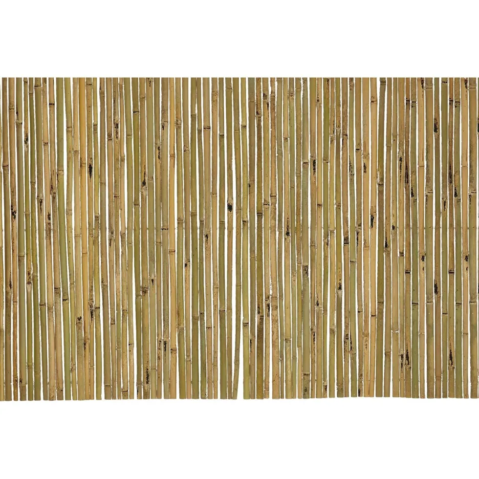 Arella Sea in Bamboo h250x300 cm