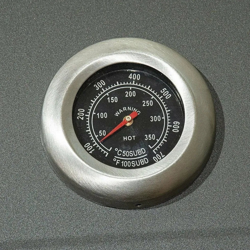 Barbecue a Carbone con Coperchio e Termometro Integrato