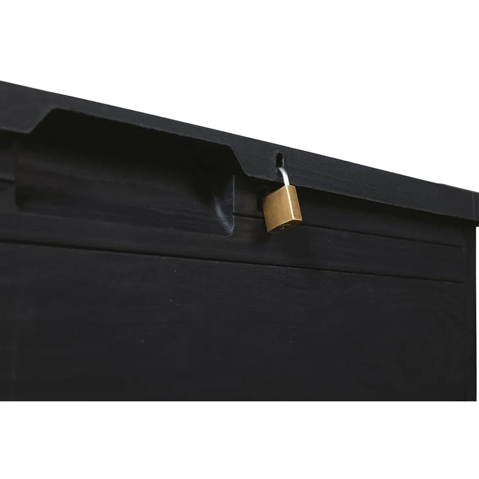 Baule Multibox 160 litri antracite Woody's