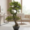 Bonsai di Pino Artificiale in vaso