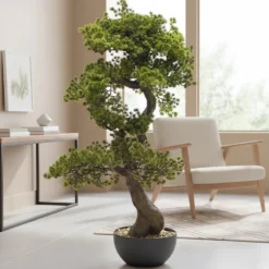 Bonsai di Pino Artificiale in vaso