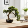 Bonsai di Pino Artificiale in vaso