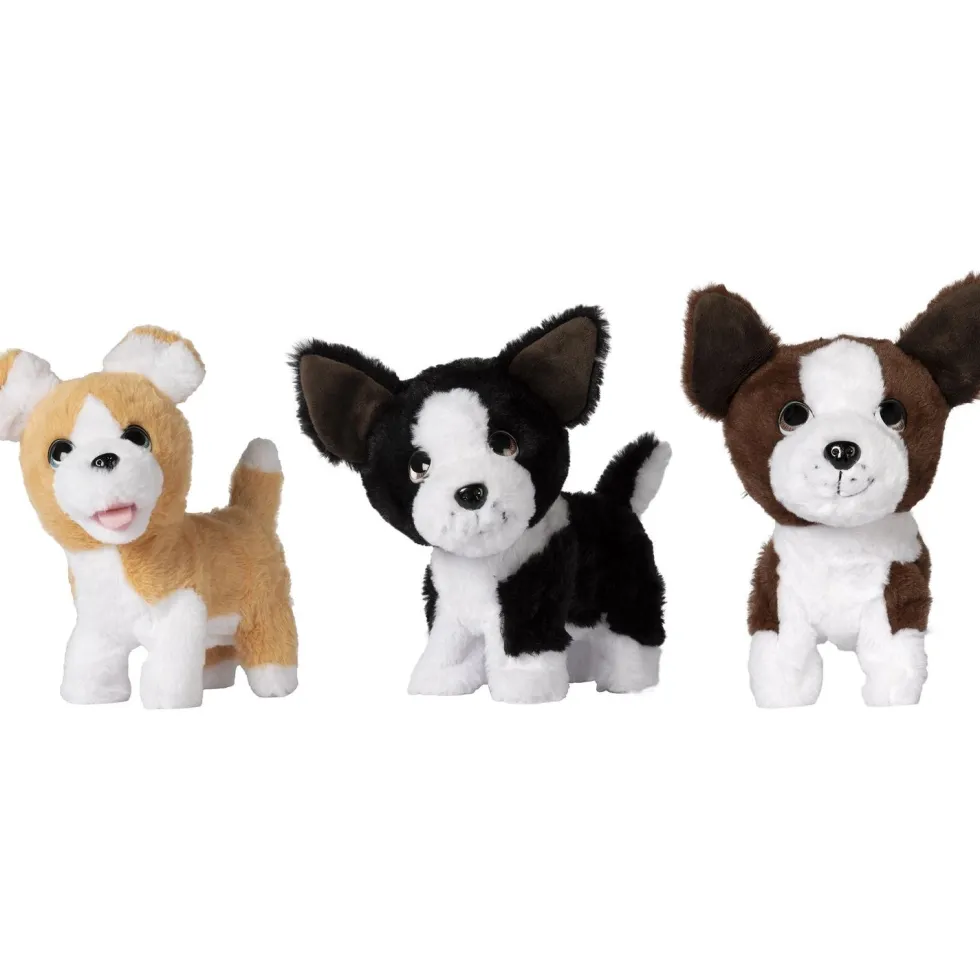 Cagnolino Filoguidato Paky