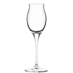 Calici Liquore Invino Spirits in vetro 10 cl