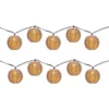 Catena luminosa 10 lanterne con pannello solare luce calda da esterno