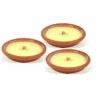 Citronella in terracotta diametro 14 cm