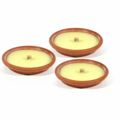 Citronella in terracotta diametro 14 cm