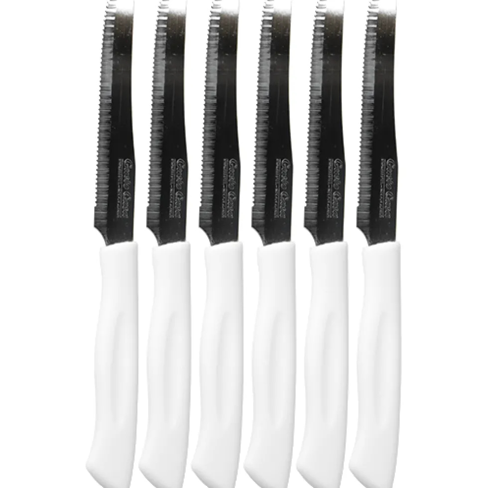Coltelli da tavola lama in acciaio inox
