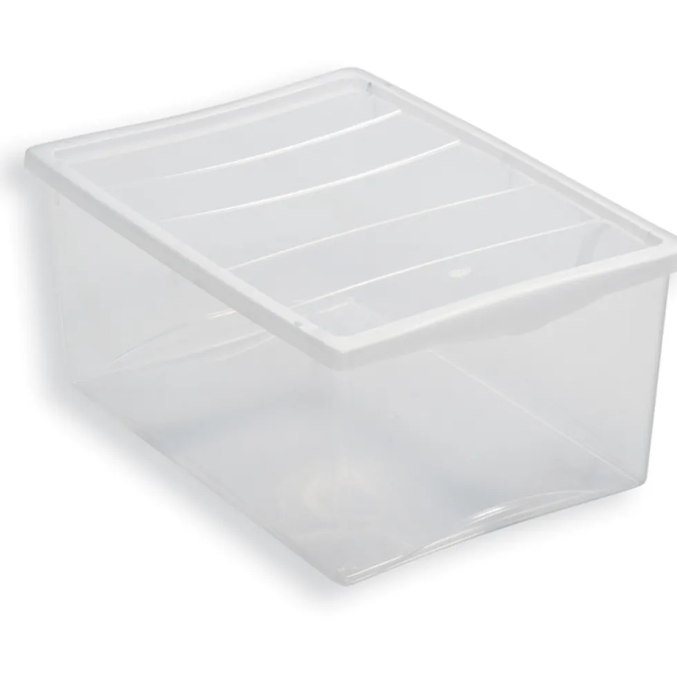 Contenitore in plastica trasparente Box Spring L
