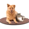 Cuscino cuccia per animali 65x49 cm spessore 2 cm