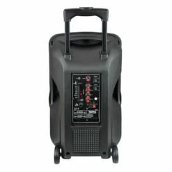 Diffusore amplificato con radiomicrofono PSB 12 600Watt