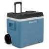 Frigo Portatile con Ruote e Maniglia Telescopica 42 Litri