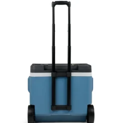 Frigo Portatile con Ruote e Maniglia Telescopica 42 Litri