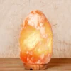 Lampada di Sale Rosa dell'Himalaya Dimmerabile 2-3 kg