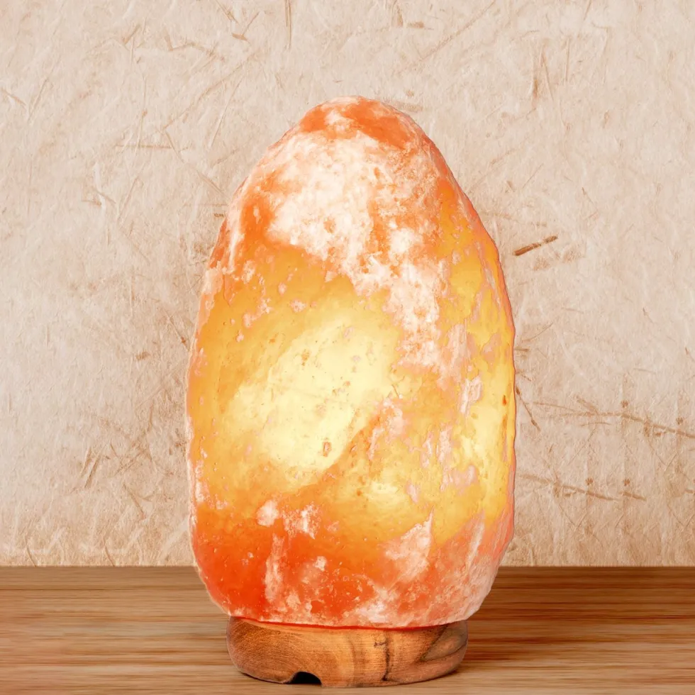 Lampada di Sale Rosa dell'Himalaya Dimmerabile 2-3 kg