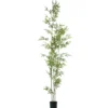 Pianta artificiale Bambù in vaso h240 cm
