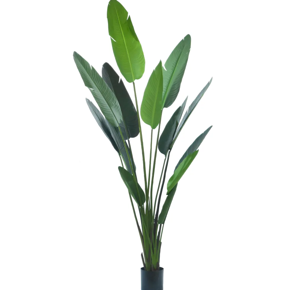 Pianta artificiale Banano in vaso h235 cm