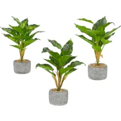 Pianta artificiale Dieffenbachia in vaso