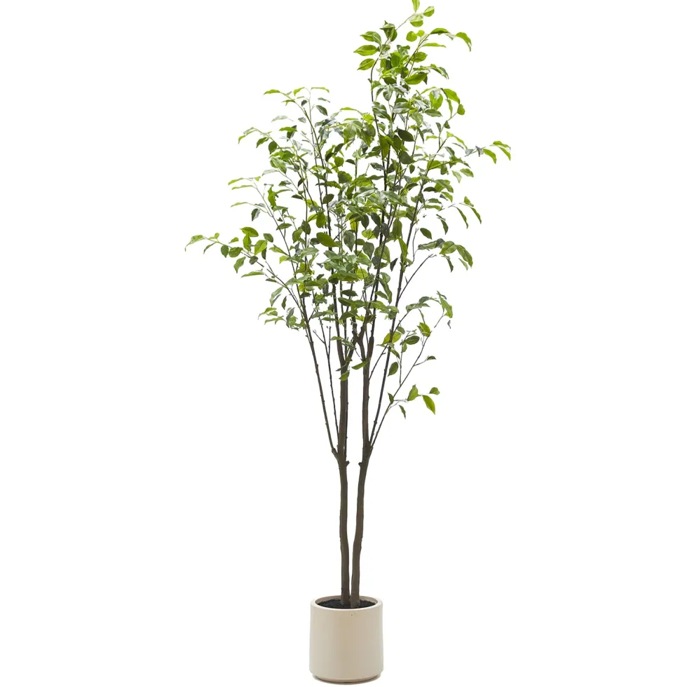 Pianta Artificiale Ficus in vaso