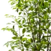 Pianta Artificiale Ficus in vaso
