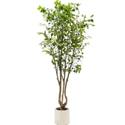 Pianta Artificiale Ficus in vaso