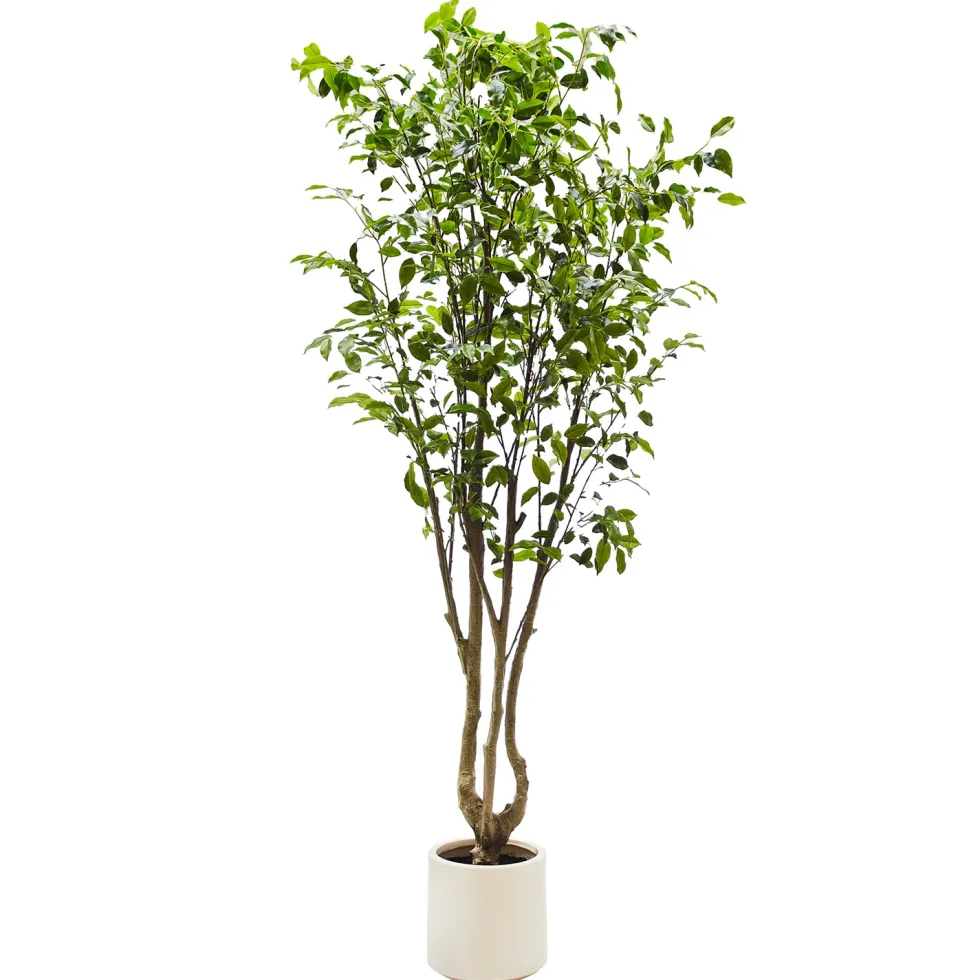 Pianta Artificiale Ficus in vaso