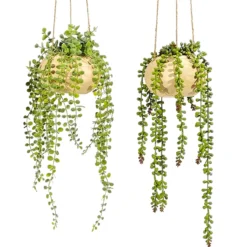Pianta artificiale Senecio con vaso sospeso