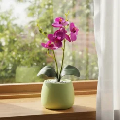 Pianta con Vaso e Spray Profumato 30 ml