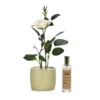 Pianta con Vaso e Spray Profumato 30 ml