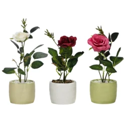 Pianta con Vaso e Spray Profumato 30 ml
