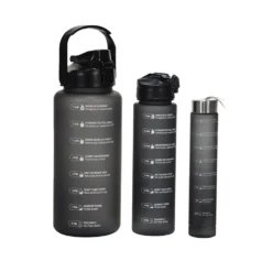 Set 3 Borracce 280 ml/750 ml/2L
