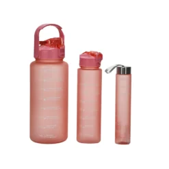 Set 3 Borracce 280 ml/750 ml/2L
