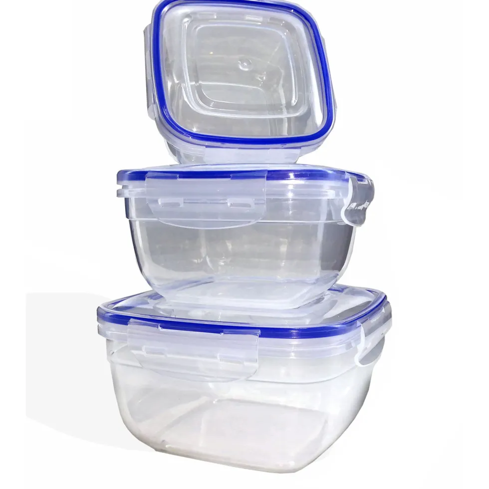 Set 3 Contenitori in Polipropilene con coperchio ermetico Food Organizer