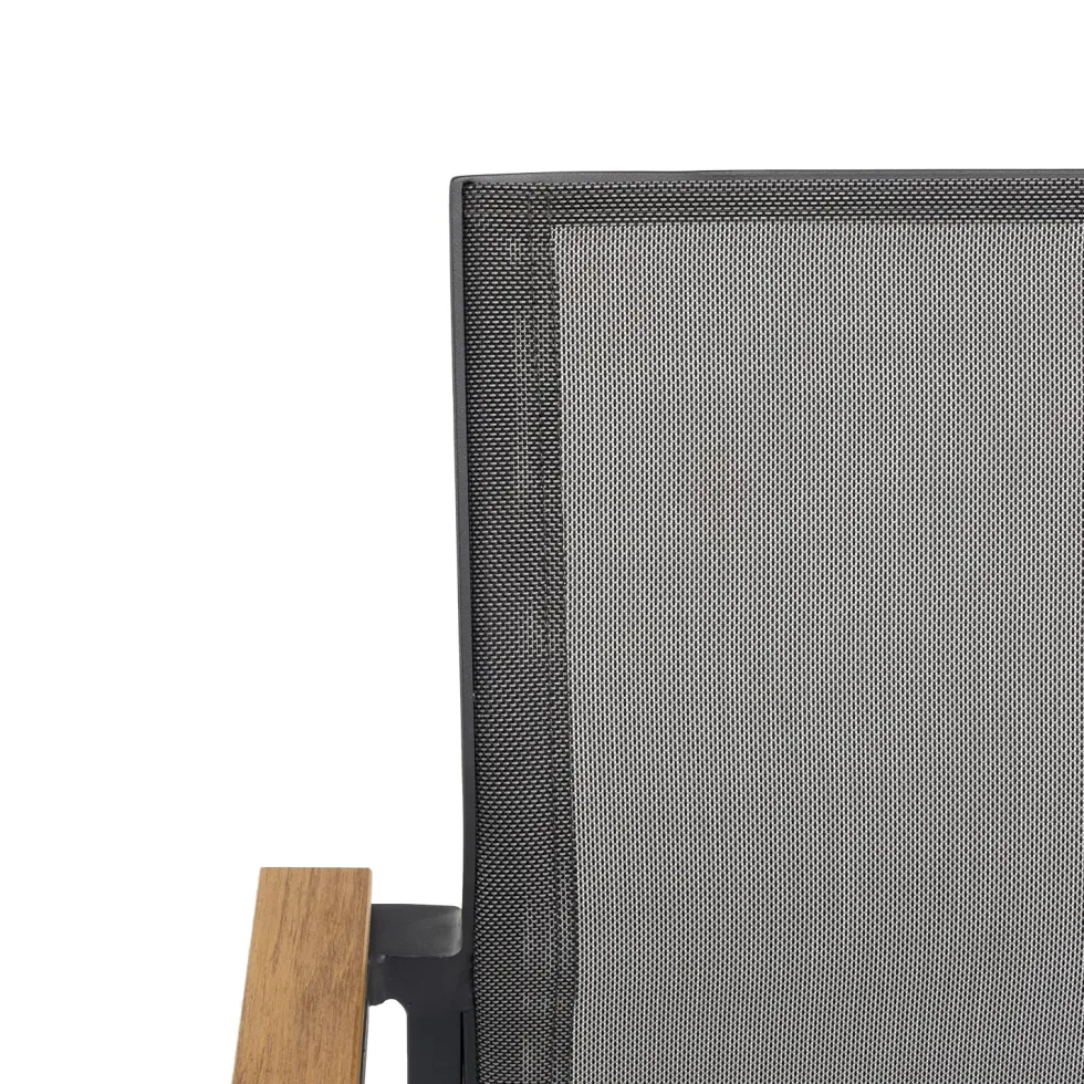 Set da giardino 9 pezzi Tavolo Estensibile con 8 Sedie struttura in alluminio Antracite e braccioli in Polywood