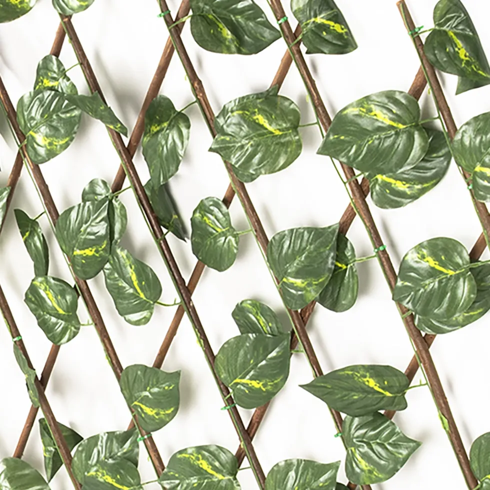 Siepe Artificiale Estensibile con foglie di Epipremnum Aureum Verde h100x190 cm