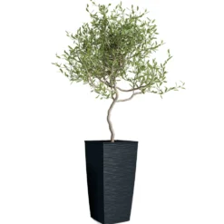 Vaso Aurora Antracite con Inserto