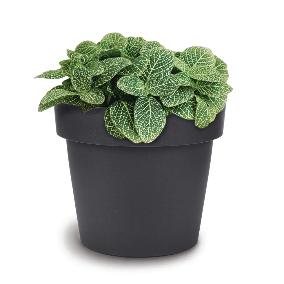 Vaso Melrose Flower Pot Antracite