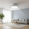 Ventilatore da Soffitto con Plafoniera LED Wi-Fi Spin Light